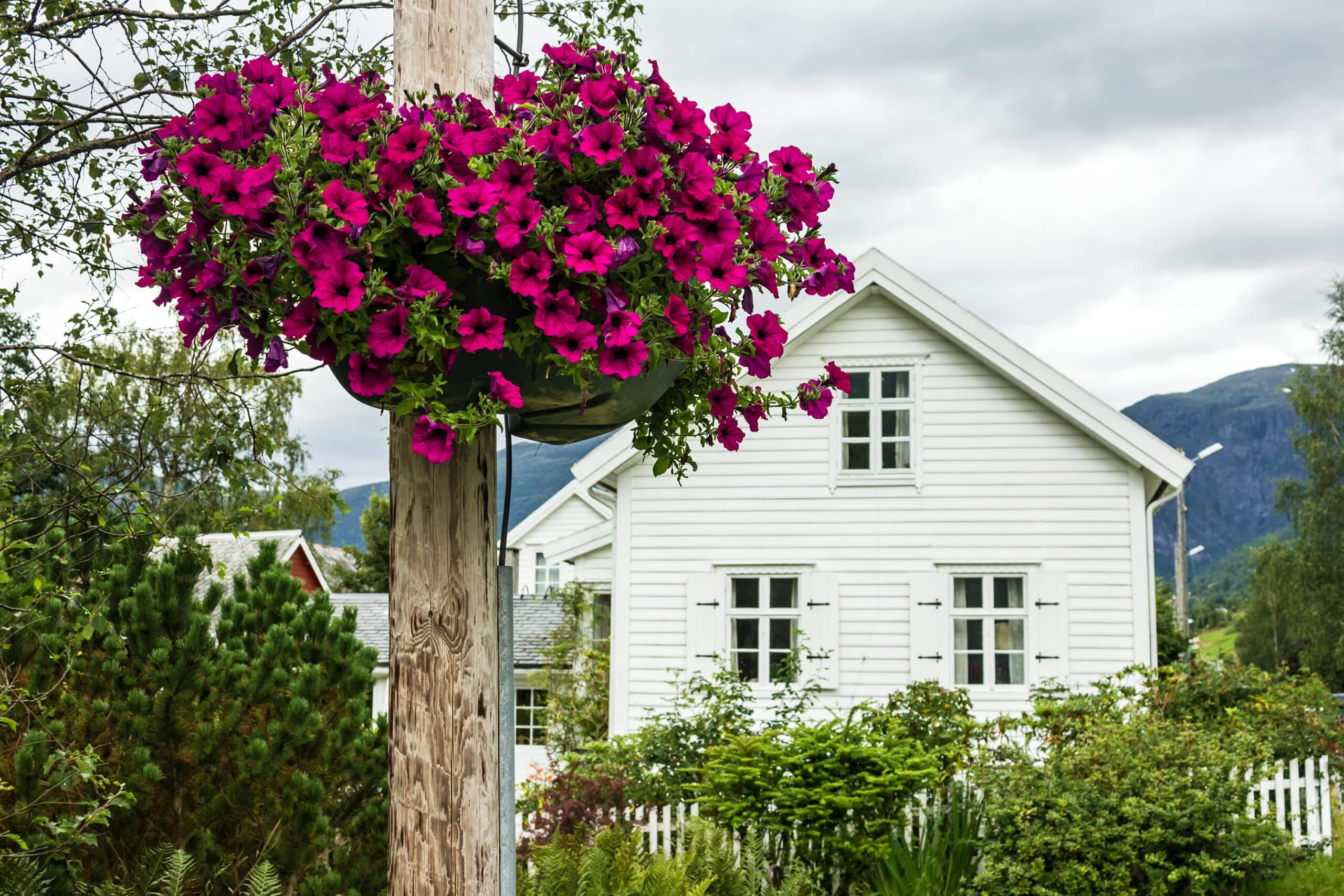 Designerhjem